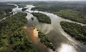 การตัดไม้ทำลายป่าของ Amazon เป็นปัญหาด้านสิ่งแวดล้อมที่ใหญ่ที่สุดในภาคใต้ …